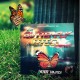 The Butterfly Effect by Peter Nardi 