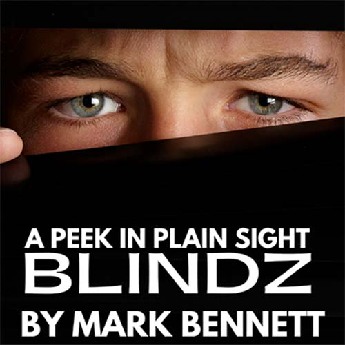 Blindz by Mark Bennett
