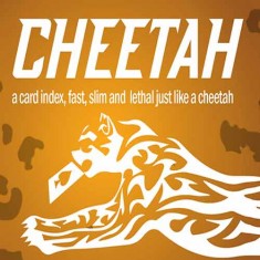 Cheetah by Berman Dabat and Michel