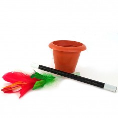 Flowers from Wand in Pot