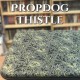 Pre-Printed LARGE Roll Up Pad - by PropDog