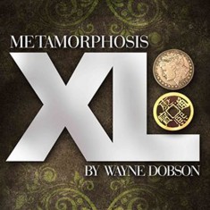 Metamorphasis XL by Wayne Dobson