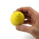 Lemon For Life by PropDog