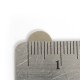 Neodymium Magnet Size 8mm x 1mm Disc