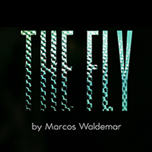 The Fly by Marcos Waldemar 