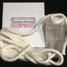Saw Ring Surprise by Scott Alexander