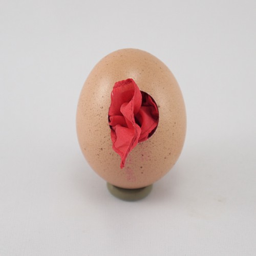 Silk to REAL Brown Egg Gimmick by PropDog