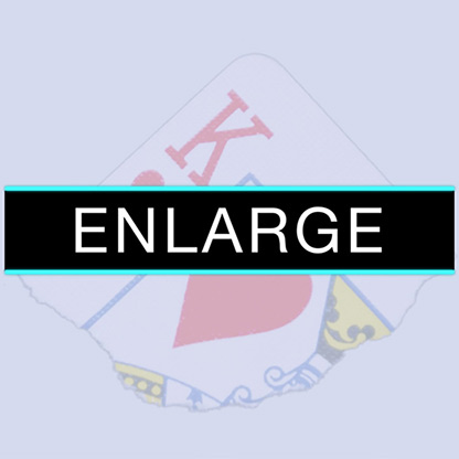 Enlarge by Sansminds