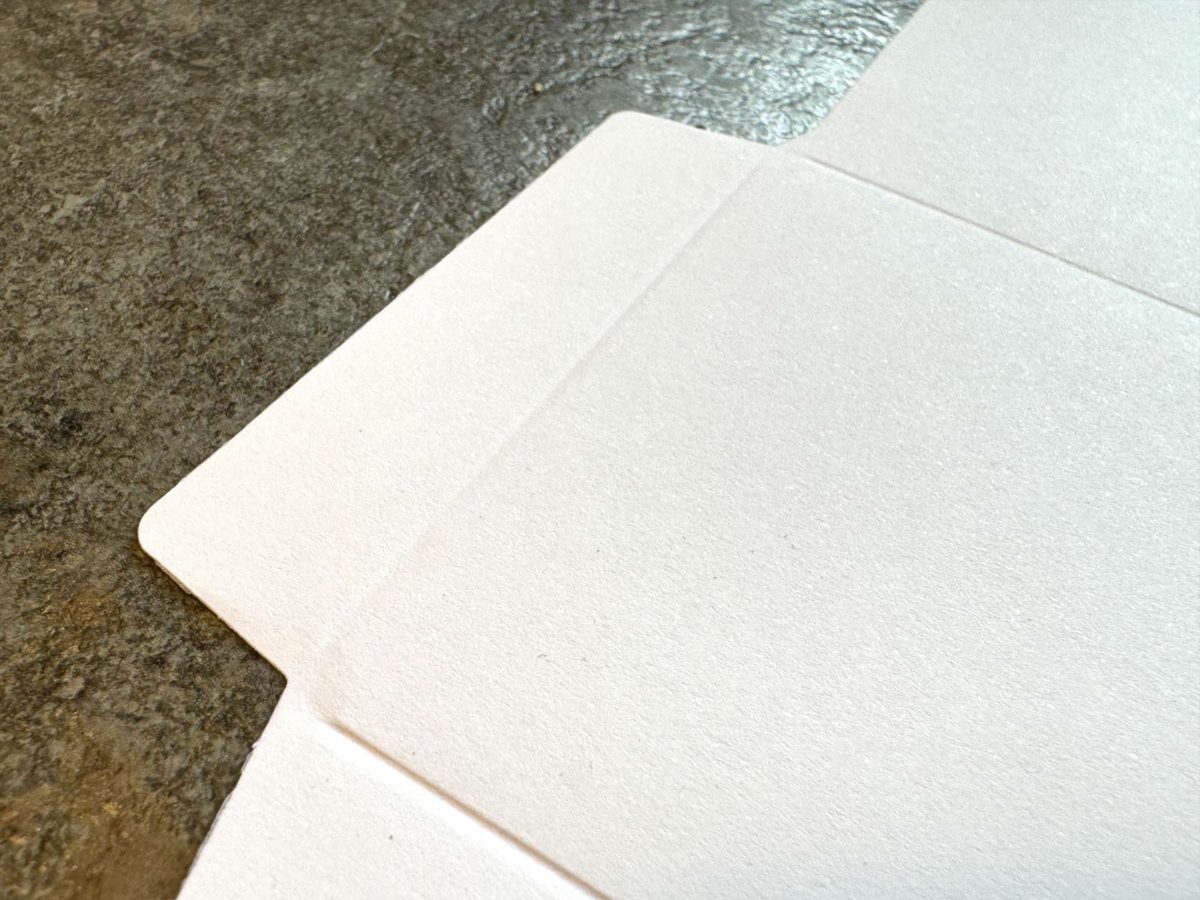 Self Assembly Large Bonsalopes  - Pack of 50 - Image 5